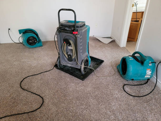 Best Water damage restoration near me  in Knollwood, IL