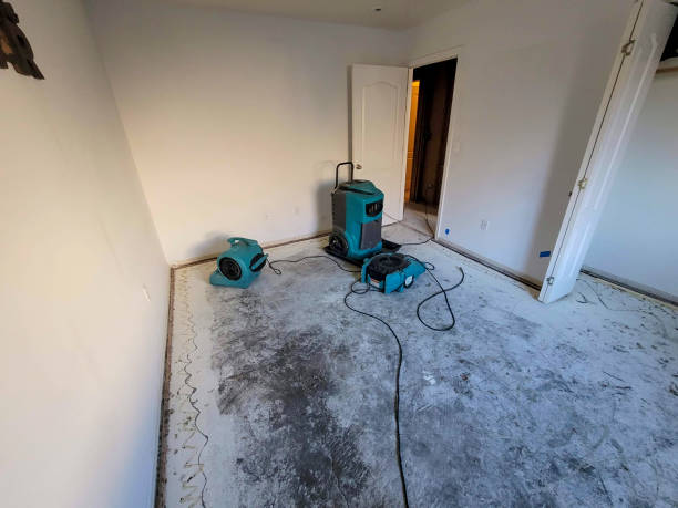 Best Flood restoration services  in Knollwood, IL