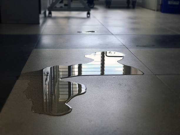 Best 24/7 water damage repair  in Knollwood, IL