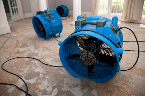 Best 24-hour water damage restoration  in Knollwood, IL