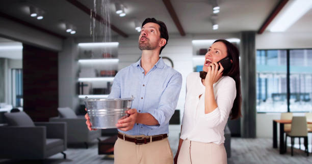 Best Flood damage cleanup  in Knollwood, IL