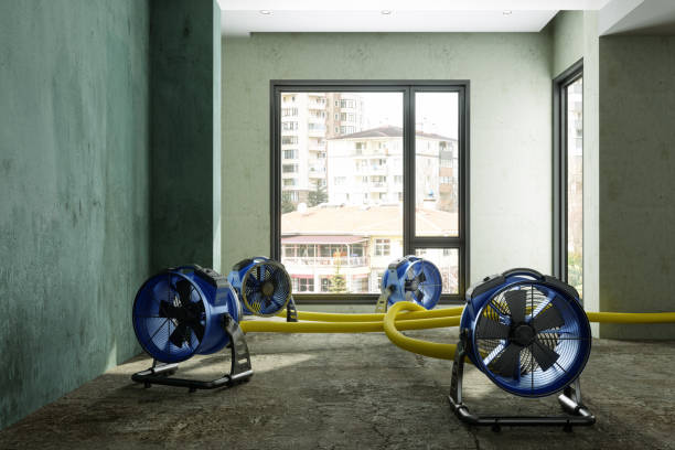 Best Emergency water damage restoration  in Knollwood, IL