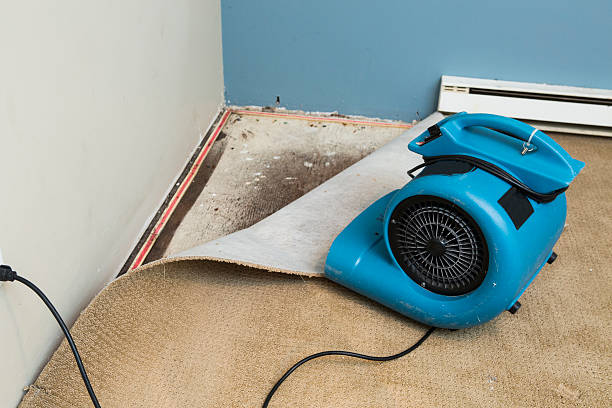 Best Commercial water damage restoration  in Knollwood, IL